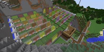 flowerfarm.jpg