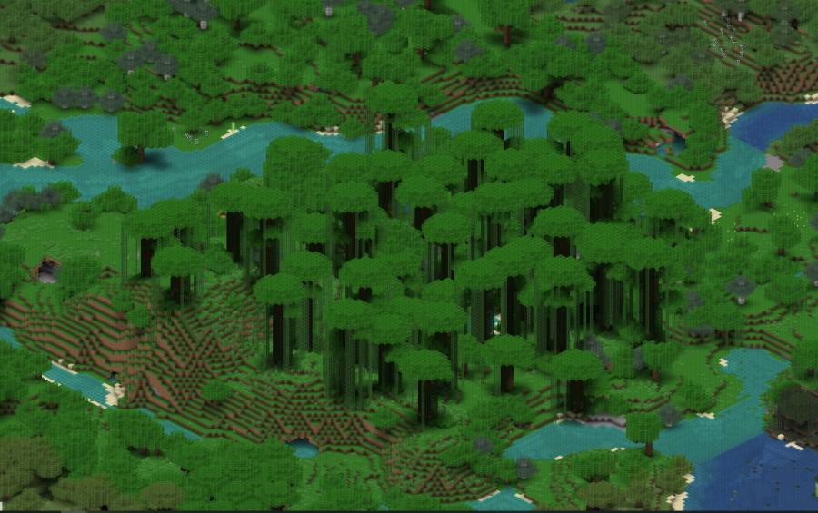 little_amazonia.jpg