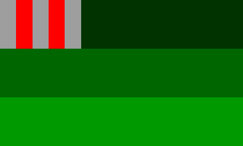 PPSS flag 