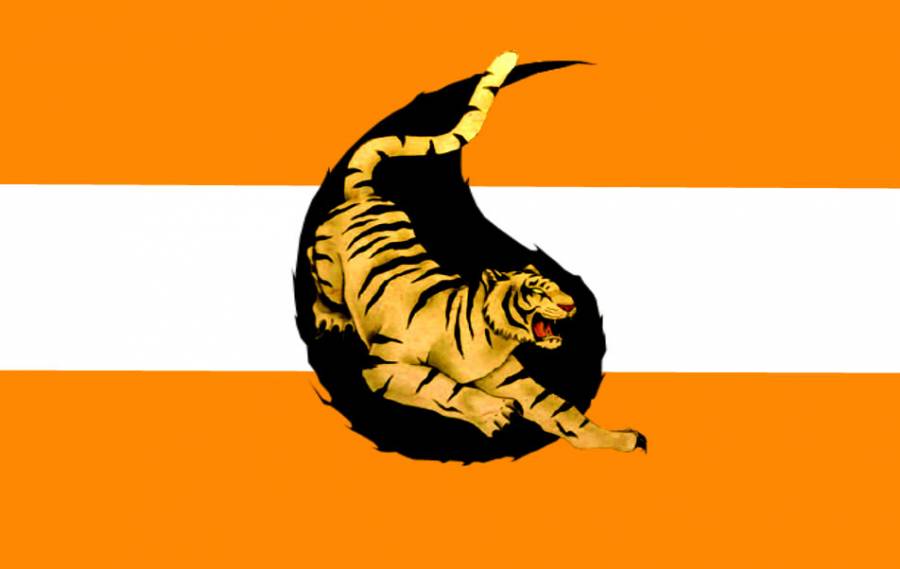 tora_flagu.jpg