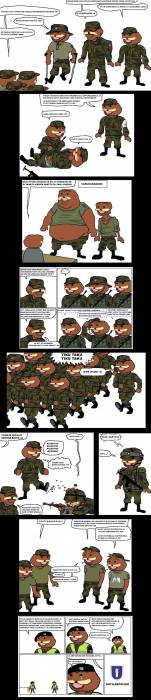 elggu_loif_in_the_fdf_01.jpg